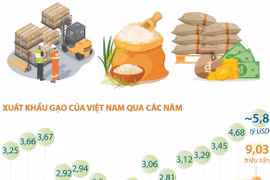 Xuất khẩu gạo đạt kỷ lục cả về lượng và giá trị trong năm 2024