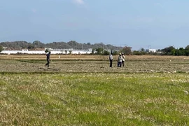 Đề nghị tiếp tục miễn thuế sử dụng đất nông nghiệp đến hết năm 2030.