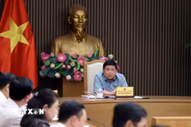 Phó Thủ tướng Nguyễn Chí Dũng phát biểu. (Ảnh: An Đăng/TTXVN)