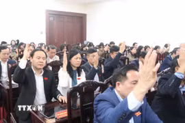 Các đại biểu biểu quyết thông qua Nghị quyết tại kỳ họp Hội đồng Nhân dân tỉnh Thái Bình khóa XVII, nhiệm kỳ 2021-2026. (Ảnh: Vũ Quang/TTXVN)
