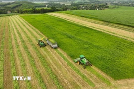 Chủ động triển khai các giải pháp thúc đẩy kinh tế tuần hoàn, sản xuất, tiêu dùng bền vững, thương mại bền vững đáp ứng các chính sách xanh của Liên minh châu Âu. (Ảnh minh họa: Vũ Sinh/TTXVN)