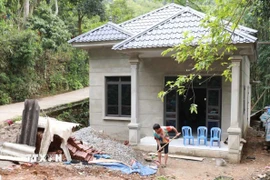 Ảnh minh họa. (Ảnh: Quý Trung/TTXVN)