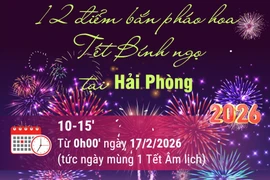 12 điểm bắn pháo hoa Tết Nguyên đán Bính Ngọ tại Hải Phòng