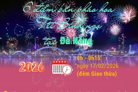 Chi tiết 6 điểm bắn pháo hoa Tết Nguyên đán Bính Ngọ tại Đà Nẵng
