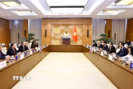 Quang cảnh cuộc tiếp. (Ảnh: Doãn Tấn/TTXVN)