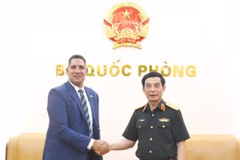 Phó Thủ tướng Chính phủ, Bộ trưởng Bộ Quốc phòng Phan Văn Giang tiếp Đại sứ Thụy Điển tại Việt Nam Johan Ndisi. (Nguồn: Báo Chính phủ)