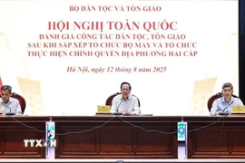 Bộ trưởng Bộ Dân tộc và Tôn giáo Đào Ngọc Dung phát biểu. (Ảnh: Minh Đức/TTXVN)