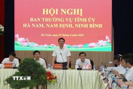 Phó Trưởng Ban Tổ chức Trung ương Đỗ Trọng Hưng phát biểu tại Hội nghị. (Ảnh: Nguyễn Chinh/TTXVN)