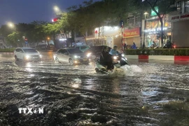 Ảnh minh họa. (Ảnh: An Đăng/TTXVN)