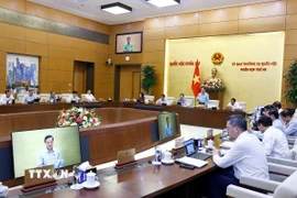 Quang cảnh phiên họp. (Ảnh: Doãn Tấn/TTXVN)