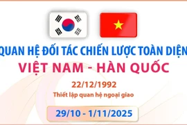 Quan hệ Đối tác Chiến lược Toàn diện Việt Nam-Hàn Quốc