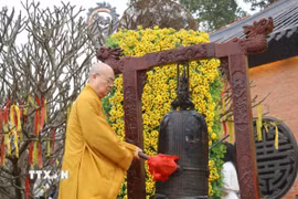 Hòa thượng Thích Thanh Nhiễu, Phó Chủ tịch Thường trực Hội đồng Trị sự Giáo hội Phật giáo Việt Nam, Trụ trì chùa Bái Đính thỉnh chuông khai hội. (Ảnh: Thùy Dung/TTXVN)