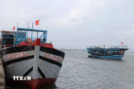 Đến nay 100% tàu cá được đánh dấu, kẻ số đăng ký đúng quy định và được đăng ký, cấp phép, cập nhật lên Cơ sở dữ liệu nghề cá quốc gia Việt Nam. (Ảnh: Đoàn Hữu Trung/TTXVN)