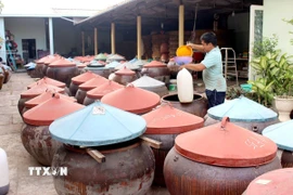 Chượp (hỗn hợp cá tươi và muối được trộn theo tỷ lệ gia truyền) được ủ trong lu đậy kín và phơi ngoài nắng - là phương pháp truyền thống lưu giữ từ trước đến nay. (Ảnh: Hồng Hiếu/TTXVN)
