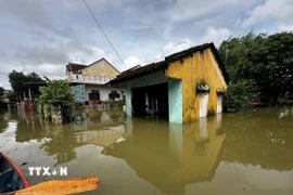 Nhiều địa phương ở Đà Nẵng ngập trở lại do mưa lớn. (Ảnh: Trần Lê Lâm/TTXVN)