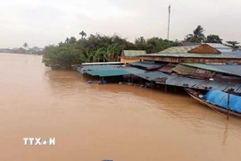 Nhiều khu dân cư nằm ở hạ lưu sông Bồ ngập sâu. (Ảnh: Hải Âu.TTXVN)