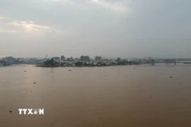 Dự báo mực nước sông Đồng Nai vùng hạ du lên xấp xỉ báo động 2. (Ảnh: Sỹ Tuyên/TTXVN)