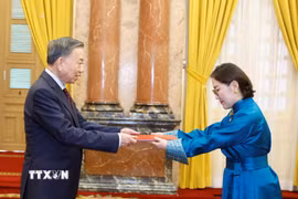 Tổng Bí thư, Chủ tịch nước Tô Lâm nhận Quốc thư từ Đại sứ Mông Cổ Hulan Ganbaatar. (Ảnh: Thống Nhất/TTXVN)