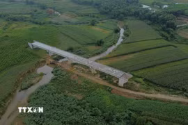 Nghệ An: Gần một năm sau hoàn thành, cầu gần 80 tỷ đồng vẫn chờ đường dẫn