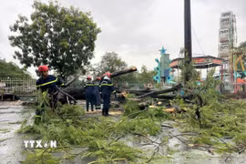Hiện trường vụ cây xanh bị đổ khiến 2 người đi xe máy bị thương. (Ảnh: Huỳnh Anh/TTXVN)