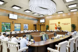 Quang cảnh phiên họp. (Ảnh: Doãn Tấn/TTXVN)
