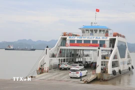 Ảnh minh họa. (Ảnh: Minh Thu/TTXVN)