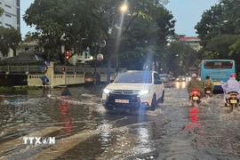 (Ảnh: Quốc Khánh/TTXVN)