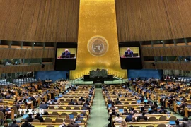 Toàn cảnh một phiên họp của Đại hội đồng Liên hợp quốc. (Ảnh: Thanh Tuấn/TTXVN)