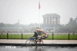 (Ảnh minh họa: Thành Đạt/TTXVN)