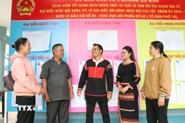 Các ứng cử viên đại biểu Quốc hội trao đổi tâm tư, nguyện vọng với nhân dân. (Ảnh: Nguyên Dung/TTXVN)