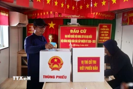 Cử tri là ngư dân tàu cá QNg 96435 TS của tỉnh Quảng Ngãi đang khai thác thủy hải sản tại khu vực cụm Ba Kè bỏ phiếu bầu cử. (Ảnh: TTXVN phát)
