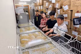 Mỳ thành phẩm chuẩn bị tung ra thị trường. (Ảnh: TTXVN phát)