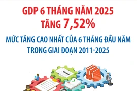GDP 6 tháng đầu năm 2025 tăng 7,52%, cao nhất cùng kỳ 15 năm qua