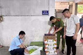 Hàng hóa vi phạm bị lực lượng chức năng phát hiện, tạm giữ. (Nguồn: Chi cục Quản lý thị trường thành phố Hà Nội)