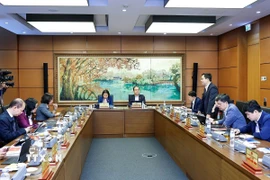 Đoàn đại biểu Quốc hội thành phố Hà Nội thảo luận ở tổ. (Ảnh: Doãn Tấn/TTXVN)