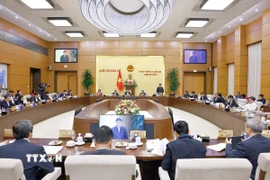 Quang cảnh phiên họp. (Ảnh: Doãn Tấn/TTXVN)