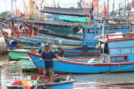 Ngư dân chủ động neo đậu tàu thuyền tránh bão tại Cảng cá Đông Hải. (Ảnh: Công Thử/TTXVN)