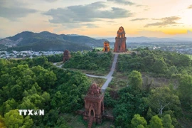 Quần thể Tháp Bánh Ít nằm trên đỉnh đồi xã Tuy Phước Bắc, gồm cụm 4 ngôi tháp khác nhau: tháp Chính (Kalan), tháp Cổng (Gopura), tháp Hỏa (Kosagrha) và tháp Bia (Posah). (Ảnh: Khánh Hòa/TTXVN)