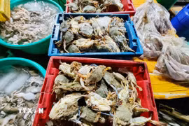 Việt Nam được đánh giá là thị trường tiềm năng cho các sản phẩm hải sản cao cấp của Anh. (Ảnh: Nguyễn Thành/TTXVN)