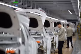 Công nhân làm việc tại nhà máy sản xuất xe của tập đoàn sản xuất ôtô Hàn Quốc Hyundai Motor. (Ảnh: AFP/TTXVN)