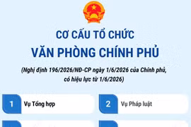 Cơ cấu tổ chức Văn phòng Chính phủ từ 1/6/2026