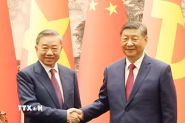 Tổng Bí thư Tô Lâm và Tổng Bí thư, Chủ tịch nước Trung Quốc Tập Cận Bình. (Ảnh: Trí Dũng/TTXVN)