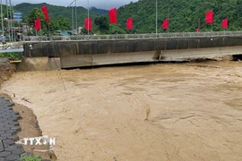 Cây cầu bị sạt lở hàm ếch vào 2 bên mố, hai bên lan can đầu cầu đã bị kéo sập, ăn sâu vào chân cầu, hiện cầu đang có nguy cơ đổ sập bất cứ lúc nào. (Ảnh: TTXVN phát)