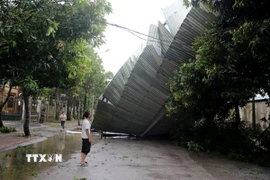 Bão số 10 gây thiệt hại nặng về hạ tầng tại Nghệ An. (Ảnh: Văn Tý/TTXVN)