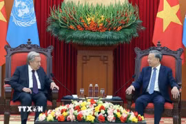 Tổng Bí thư Tô Lâm hội kiến Tổng Thư ký Liên hợp quốc António Guterres. (Ảnh: Thống Nhất/TTXVN)