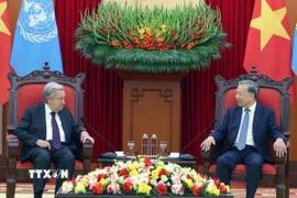 Tổng Bí thư Tô Lâm hội kiến Tổng Thư ký Liên hợp quốc António Guterres. (Ảnh: Thống Nhất/TTXVN)
