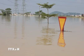 Những tuyến giao thông, biển báo chìm trong biển nước. (Ảnh: Trần Việt/TTXVN)