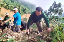 Người dân chặt hạ các thân cây đổ chắn ngang, mở lối đi trên tại điểm sạt lở trên con đường độc đạo nối bản Na Kho với các bản vùng ngoài và trung tâm xã Nga My. (Ảnh: Xuân Tiến/TTXVN)