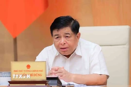 Phó Thủ tướng Nguyễn Chí Dũng. (Ảnh: An Đăng/TTXVN)