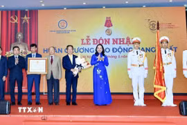 Phó Chủ tịch nước Võ Thị Ánh Xuân trao Huân chương Lao động hạng Nhất cho Hiệp hội. (Ảnh: Quốc Lũy/TTXVN)